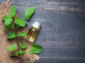 Nutze ätherisches Minzöl als Naturheilmittel