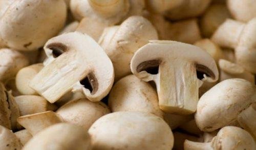 Leckere Rezepte mit Pilzen