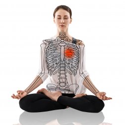 Wie kann Yoga bei Bluthochdruck helfen?