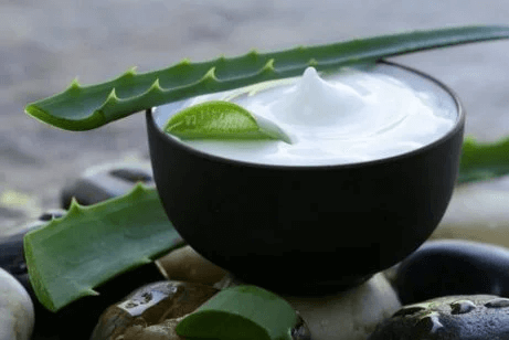 Eine Handcreme aus Aloe Vera in einer kleinen Schüssel.
