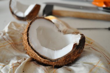 Kokosnuss