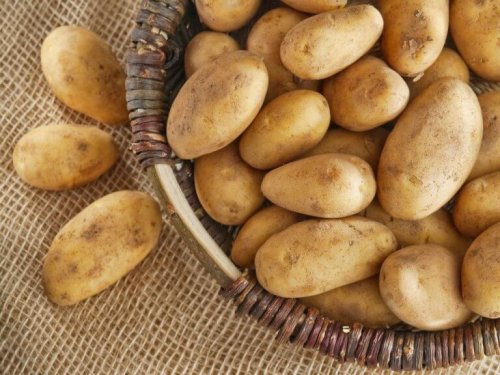 Ein Korb voller Kartoffeln.