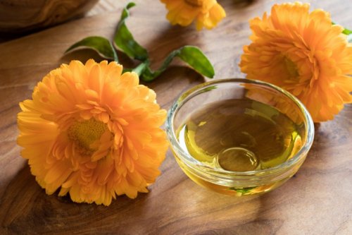 Ringelblume