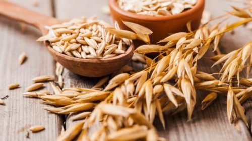 Kohlenhydratreiche Lebensmittel: Hafer