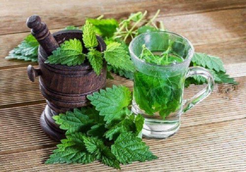 Die Brennnessel kontrolliert die Prostata und hält die Harnwege gesund