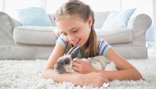 Tiere können Kinder Verantwortung lehren