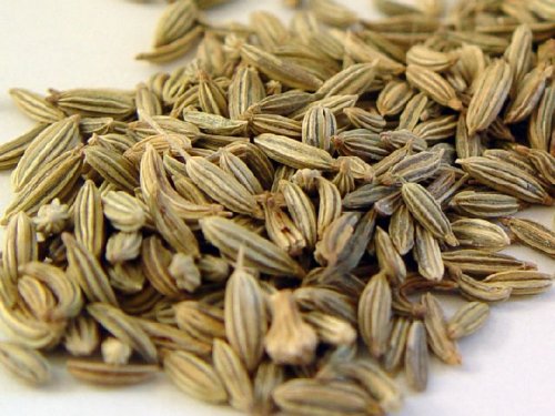 Fenchelsamen