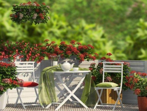 Gestaltung eines Gartens auf der Terrasse mit Stühlen und einem Gartentisch.