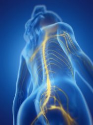 Autonome Dysreflexie und ihre Gefahren