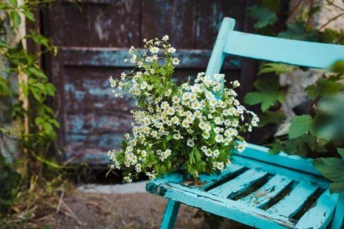 Ein Blauer Stuhl mit Pflanzen darauf.