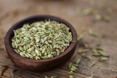 Fenchelsamen zum Abnehmen: 3 Tipps