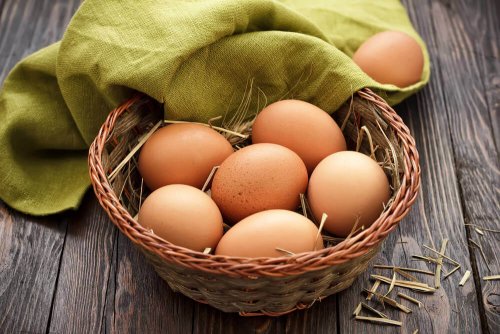 Eier sind eine gute Eiweißquelle