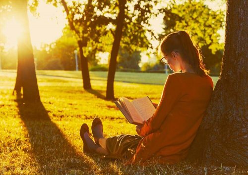 Bücher, Zeitschriften und Magazine sind oft kostengünstig erhältlich