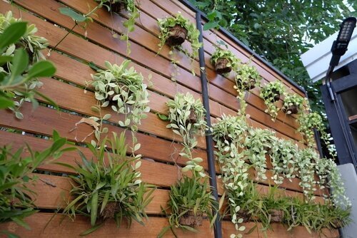 Beachte bei Pflanztöpfen für einen hängenden Garten, dass sie sicher halten