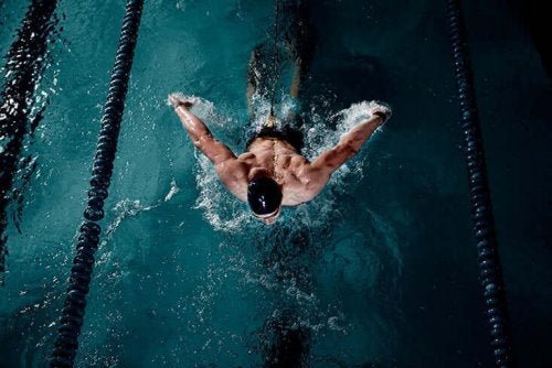 Schwimmen trainiert viele Muskelgruppen gleichzeitig
