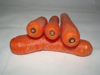 Gesundheitsnutzen der Karotte