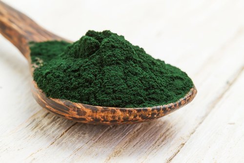 Getrocknete Spirulina