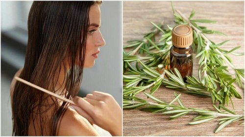 Rosmarin Shampoo