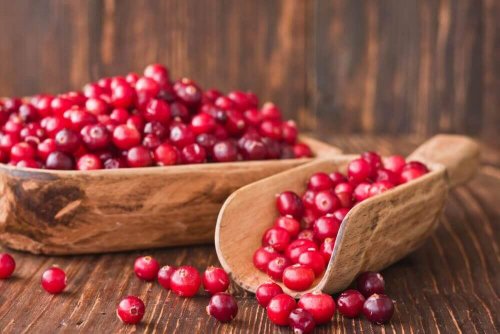 Cranberries: fünf neue medizinische Anwendungsbereiche