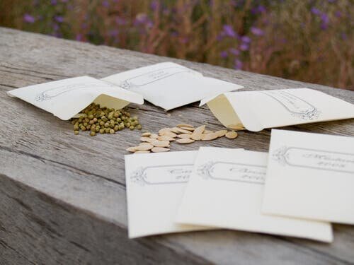 Papier