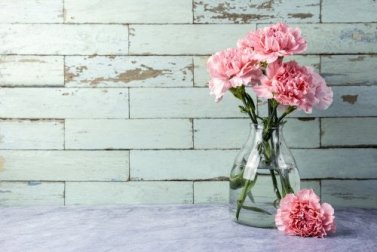 Wie man Blumenvasen richtig reinigt