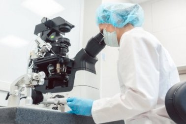 Wissenswertes über die Präimplantationsdiagnostik