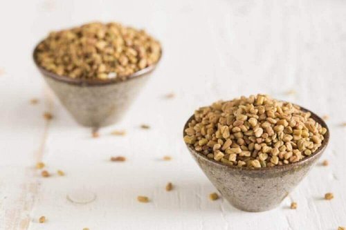 Bockshornklee in zwei Schalen, um damit Tee zuzubereiten.