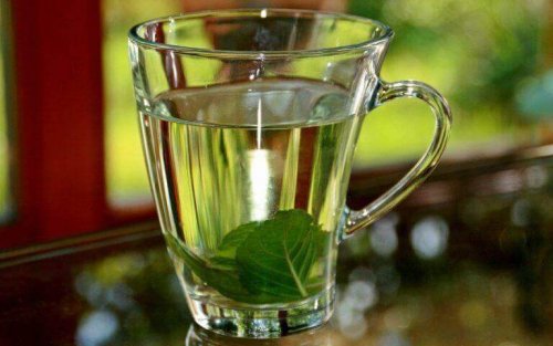 Ein Basilikum-Tee, um Fieber natürlich senken zu können.