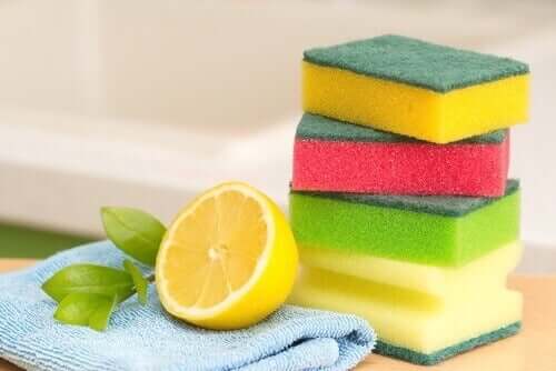 Backblech reinigen mit Zitrone