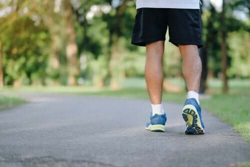 Warum Laufen so gesund ist: 8 Gründe