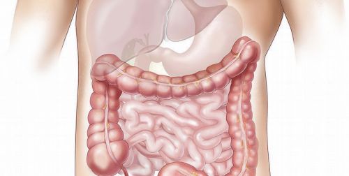 Breitbandantibiotika: Amoxicillin und Clavulansäure