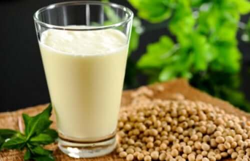 Hanfmilch: Alles, was du wissen musst