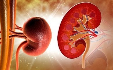 Wissenswertes über die hyperchlorämische Nierenazidose