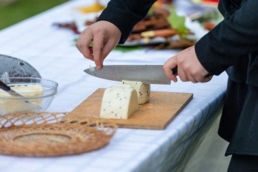 Käse schneiden: So machst du es richtig!