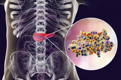 Zusammenhang von Süßstoff, Insulin und Adipositas