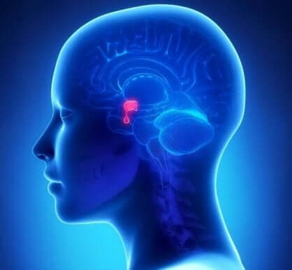 Hypophysentumor