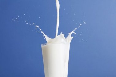 Magermilch versus Vollmilch