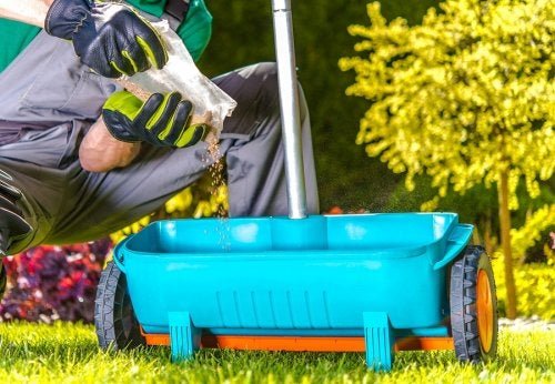 Natürlicher Dünger: einfach und preiswert