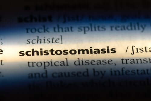 Schistosomiasis: Ursachen, Symptome und Behandlung