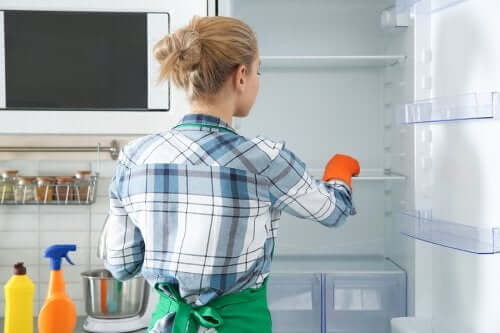 "Öko"-Methoden zur Desinfektion und Reinigung des Kühlschranks