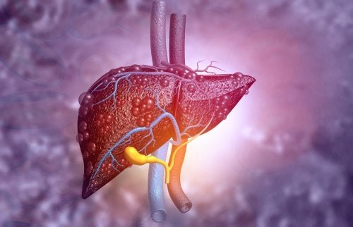 Gallengangatresie: Symptome und Behandlung