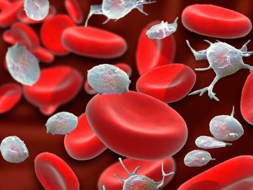 Risikofaktoren die zu einer postoperativen Blutung führen können