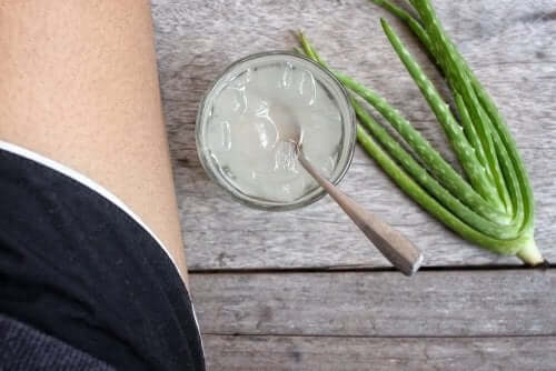 Aloe Vera als Hilfe bei Verbrennungen