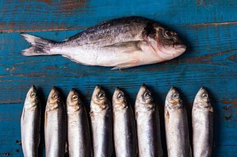 Fettfisch nach einem Herzinfarkt