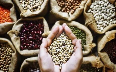 Proteine für vegane Sportler