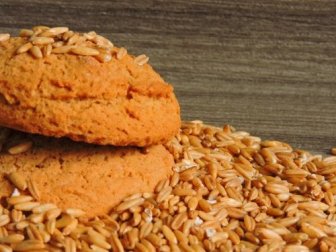 Leckere Haferkekse mit Joghurt (ohne Zucker!)
