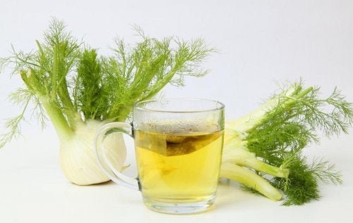Fenchel gegen Luft im Bauch