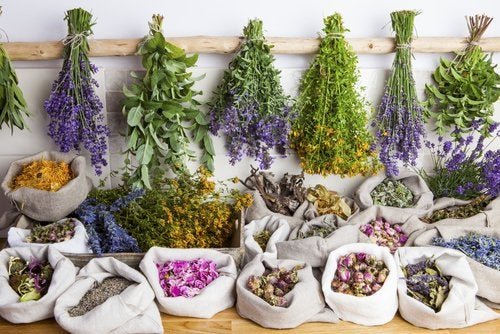 Vorteile der Phytotherapie