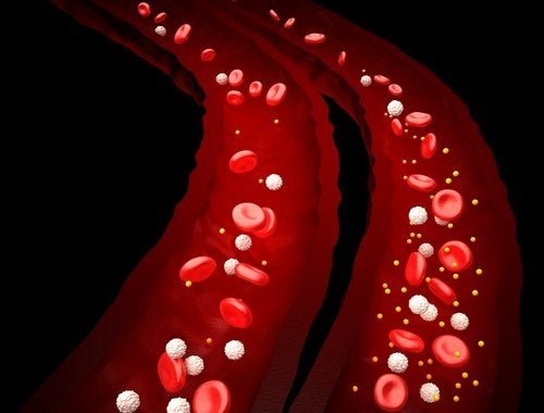 Metabolische Azidose: Ursachen