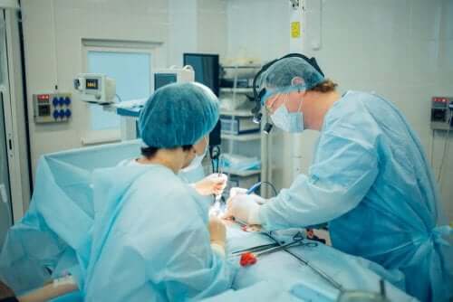Hodentorsion